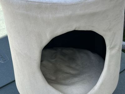 Cat home