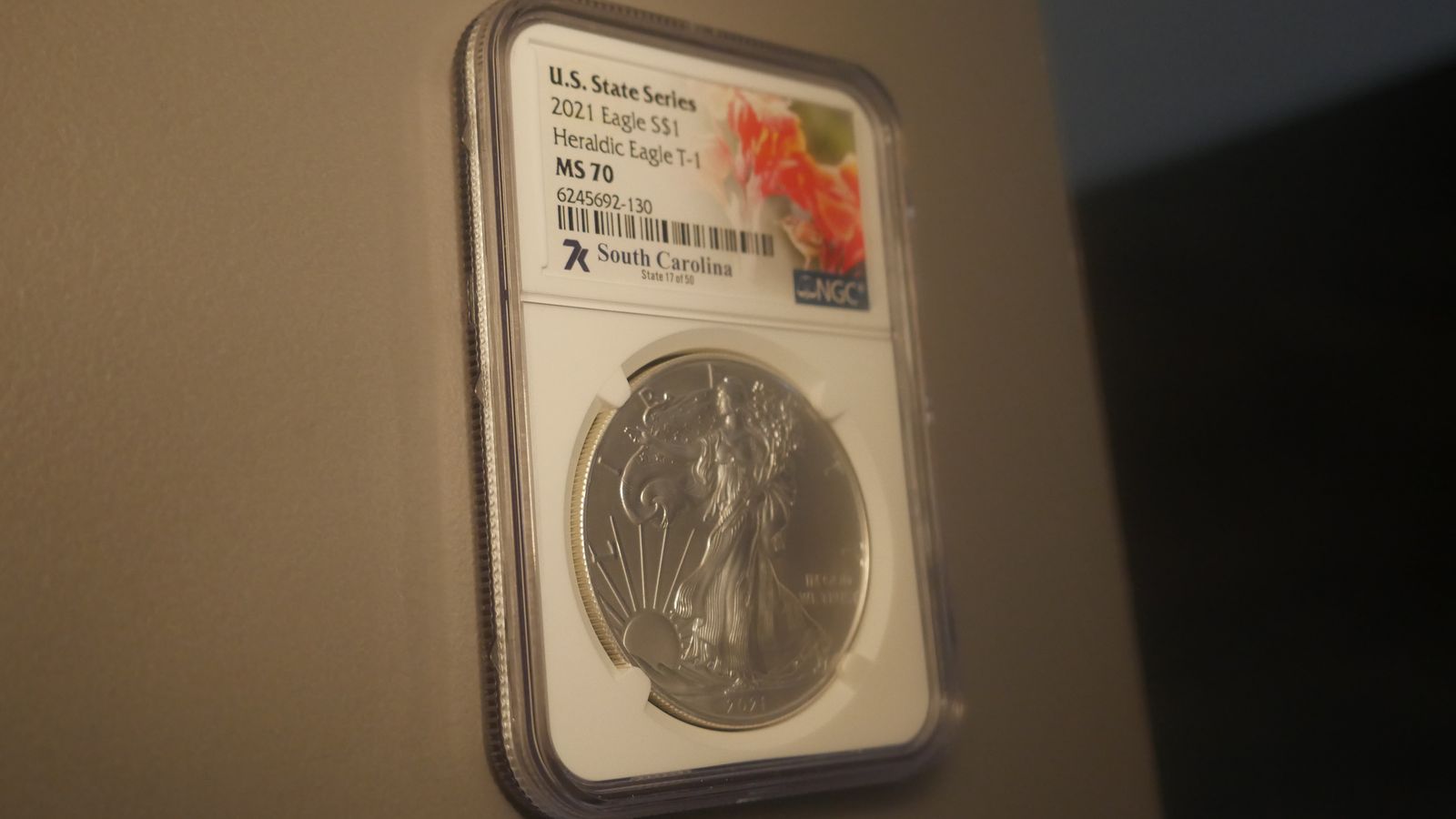 Silver Coin