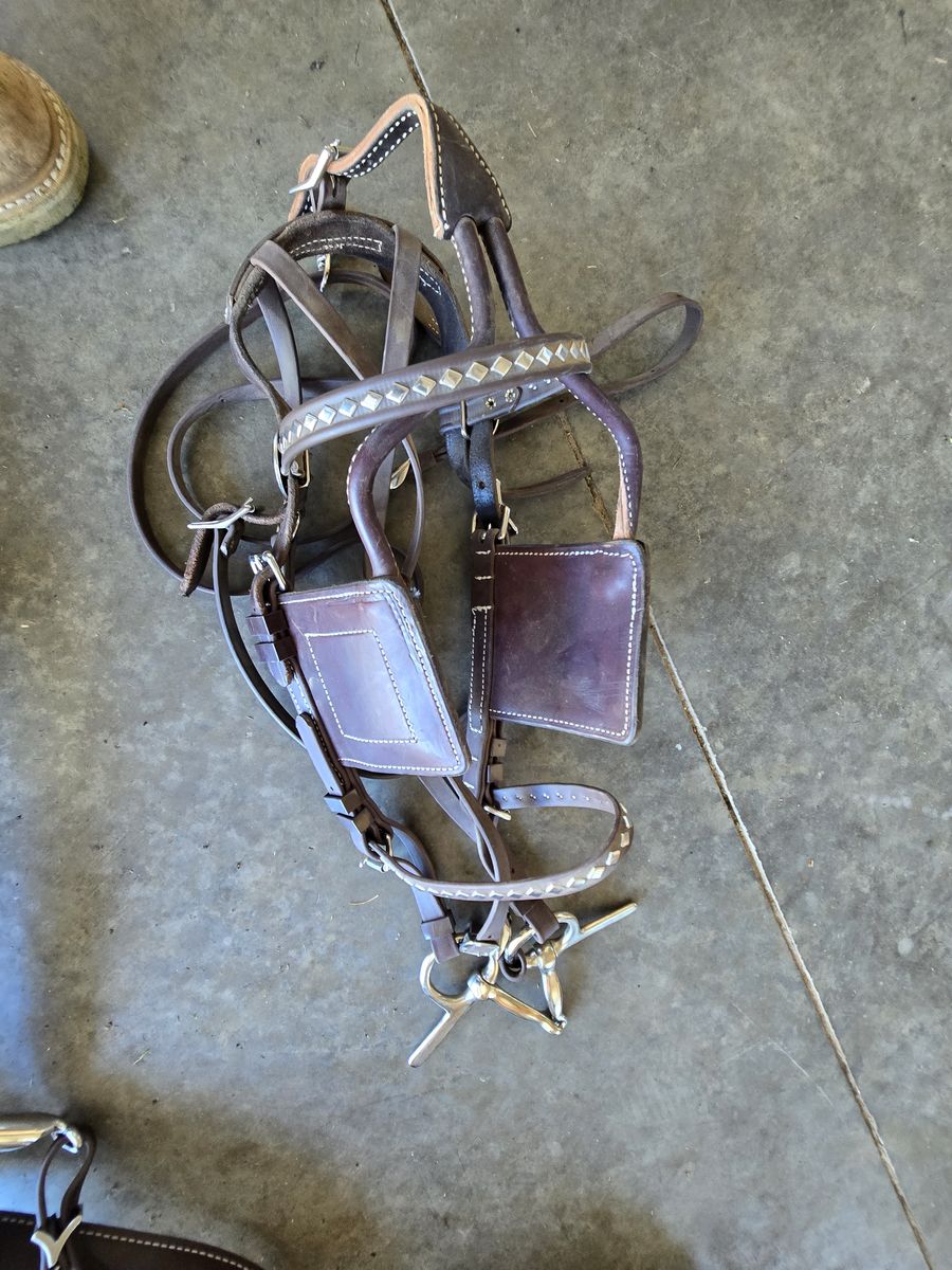 Quarter horse size single harnesses