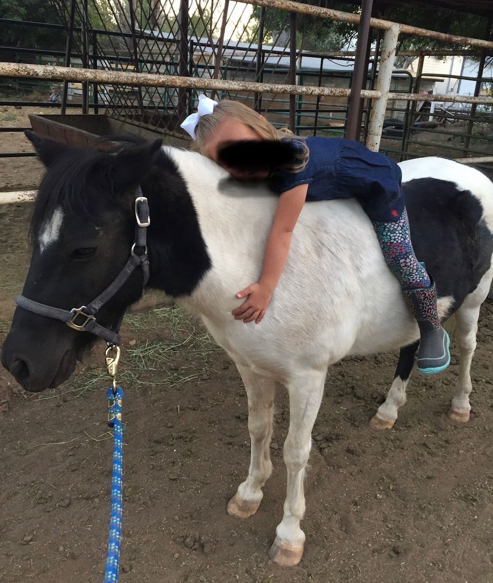 Pony For Sale - $2,500 obo