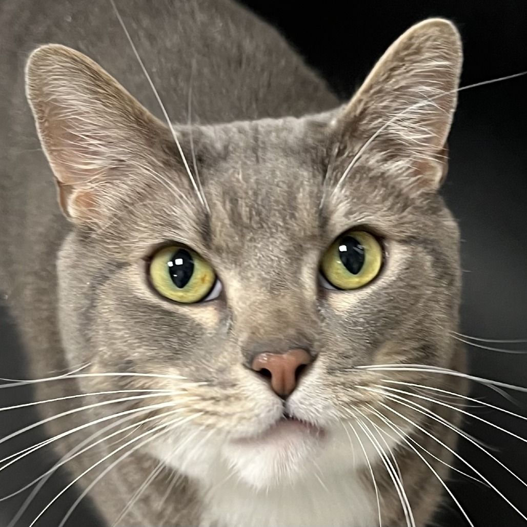 Hello my name is Rocks