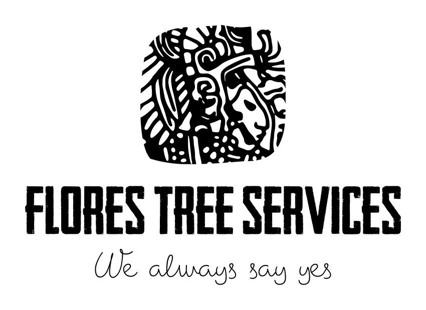 tree for sale