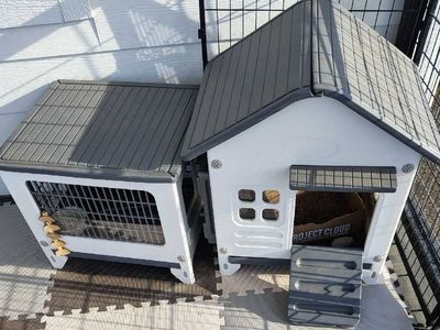 White & Gray Modular Plastic Outdoor Rabbit Hutch / Coop / House