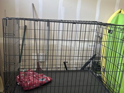 Large Black Wire Dog Crate - Durable Pet Kennel with Removable Tray, Excellent Condition