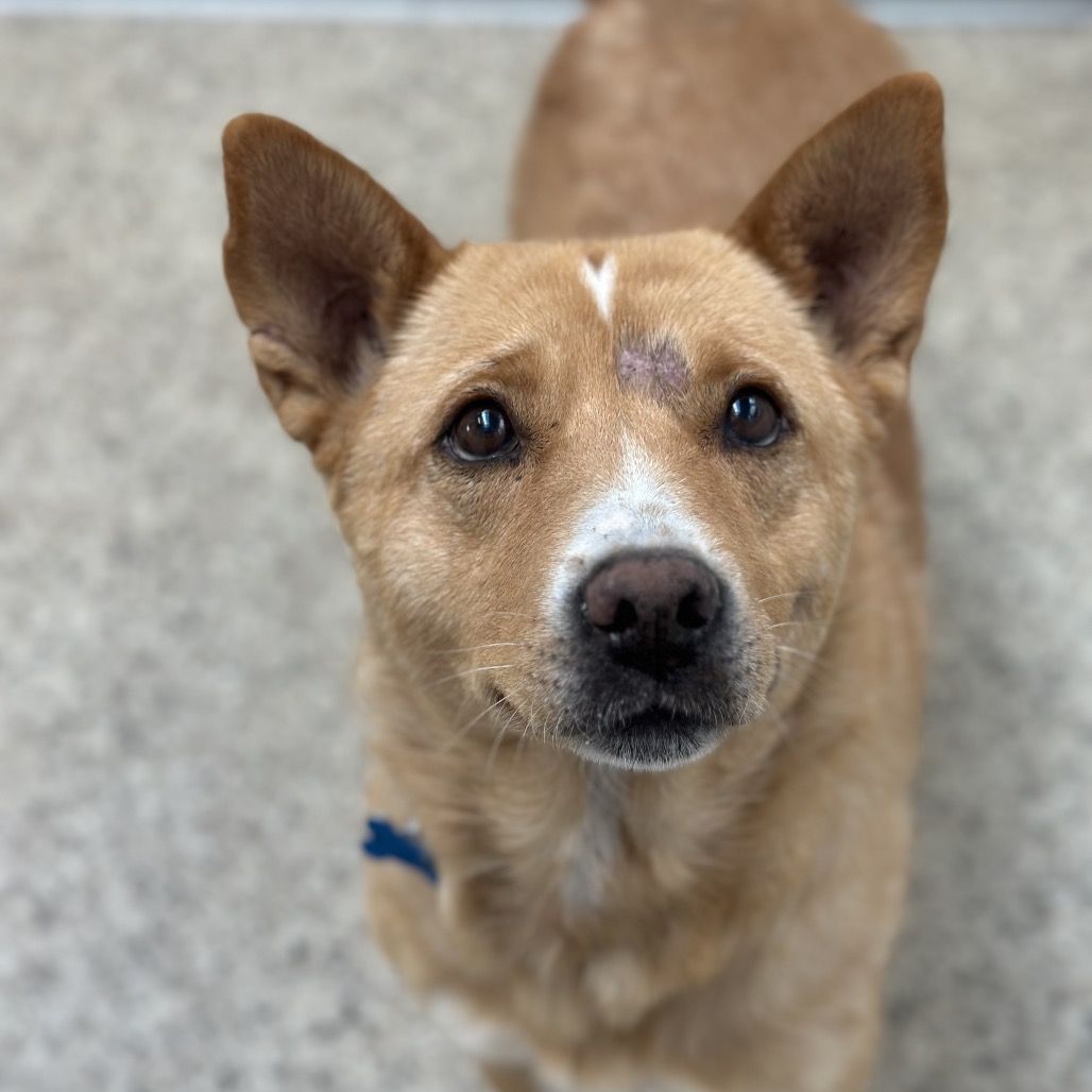 Hello my name is Maxie