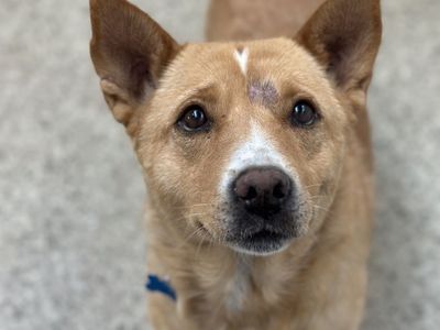 Hello my name is Maxie