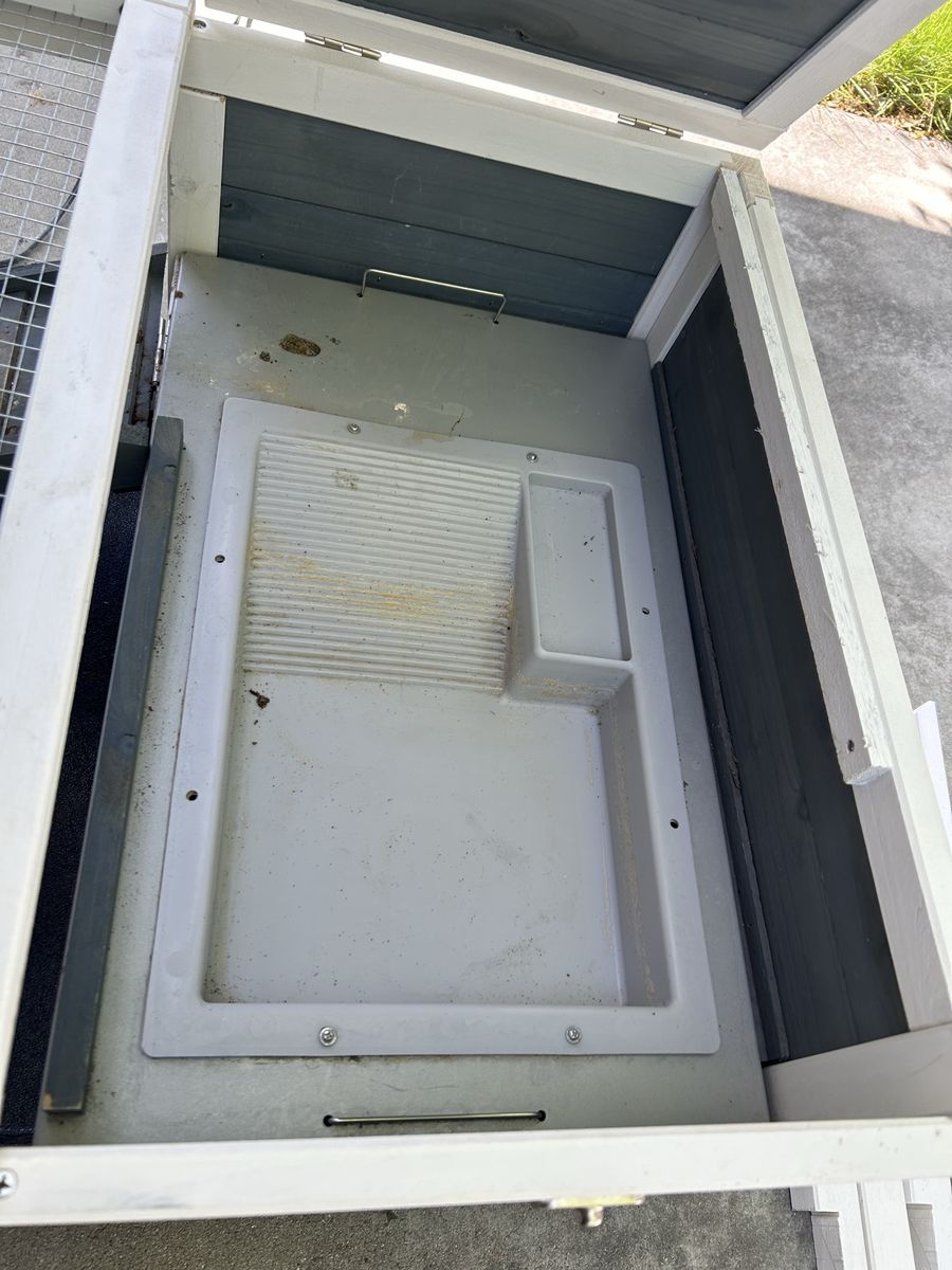 Main image 4