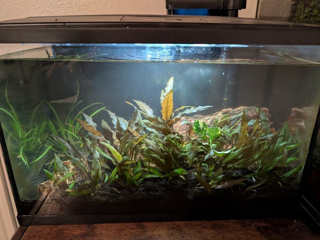 Main image 2