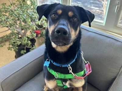 Hello my name is Finley