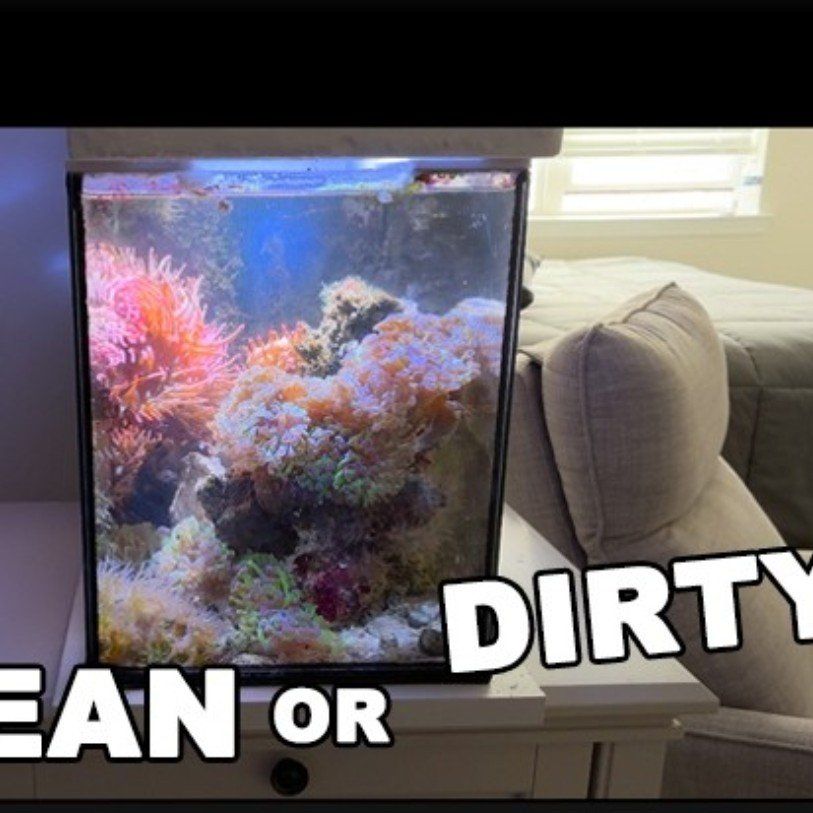 want to get rid/tired of your saltwater tank?