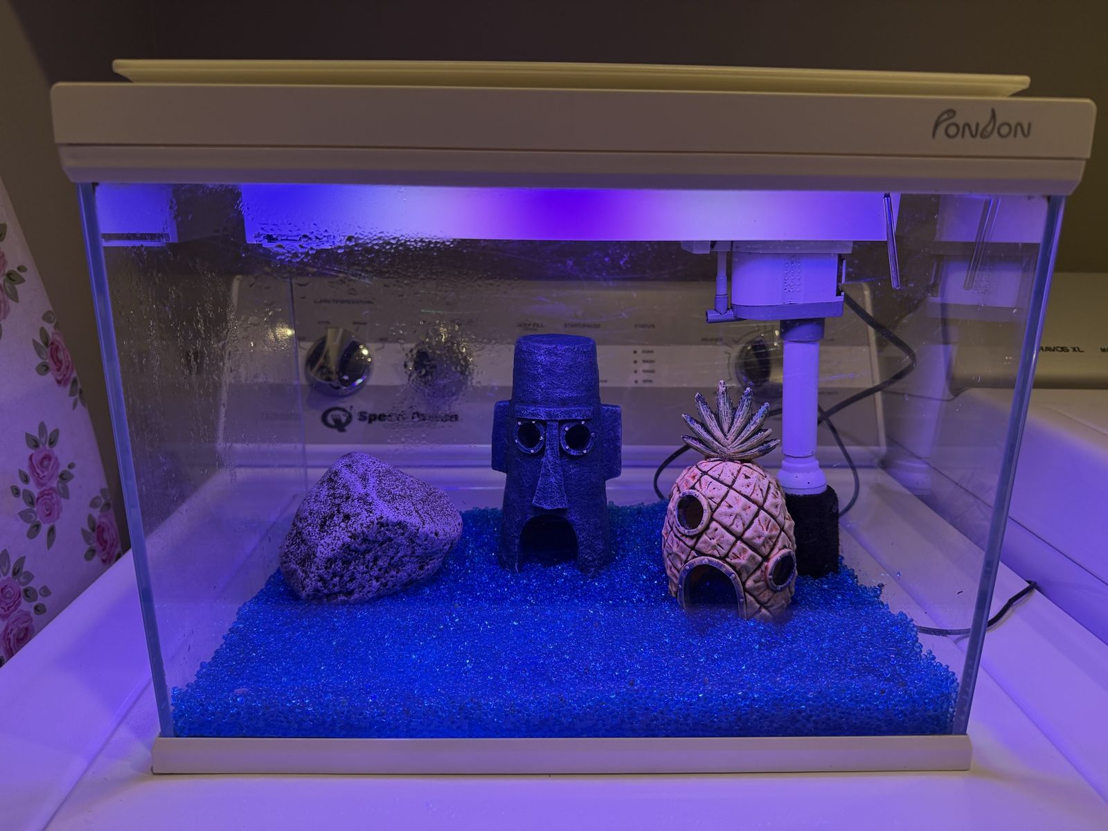 Fish tank