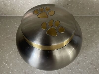 Paw Print Round Pet Cremation Urn