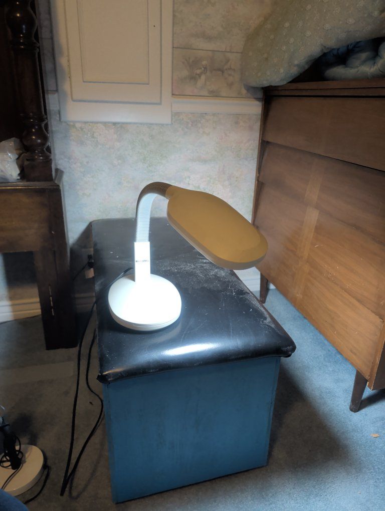 Main image 8