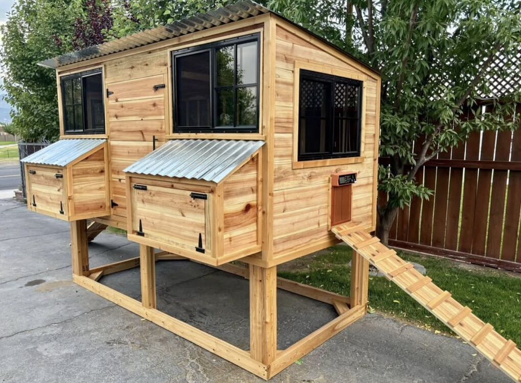 New Solod Wood Chicken Coop