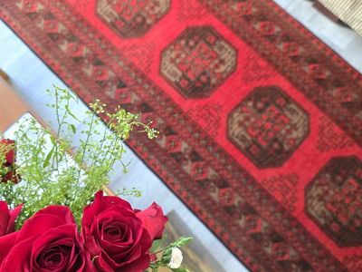 Afghan Wool Runner Rug, Size ~3x10