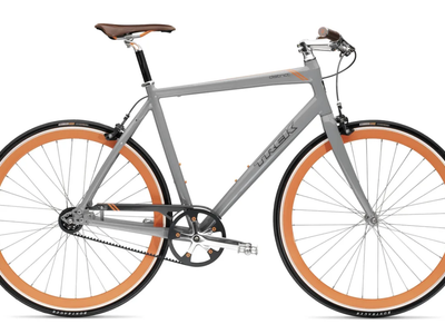 Trek District Single Speed with carbon belt drive