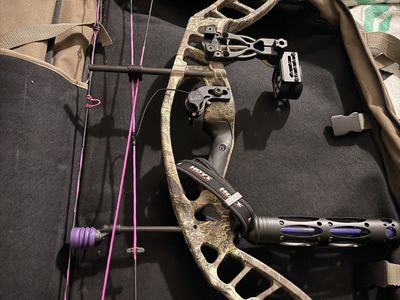 Hoyt power max vixen