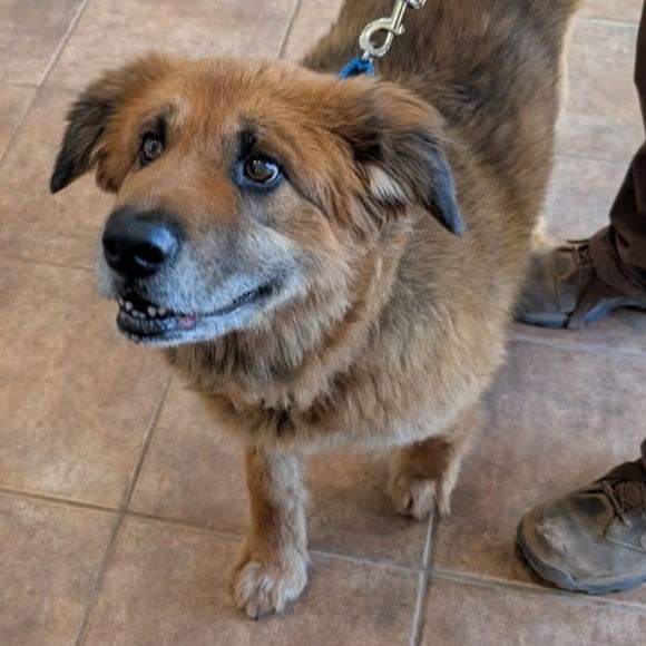 Hello my name is Fannie