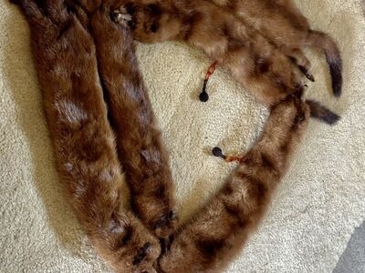 Vintage 5 Pelt Mink Collar/Stole The J L Hudson Co