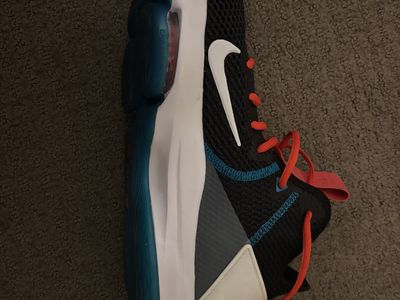 Nike Lebron Witness 4