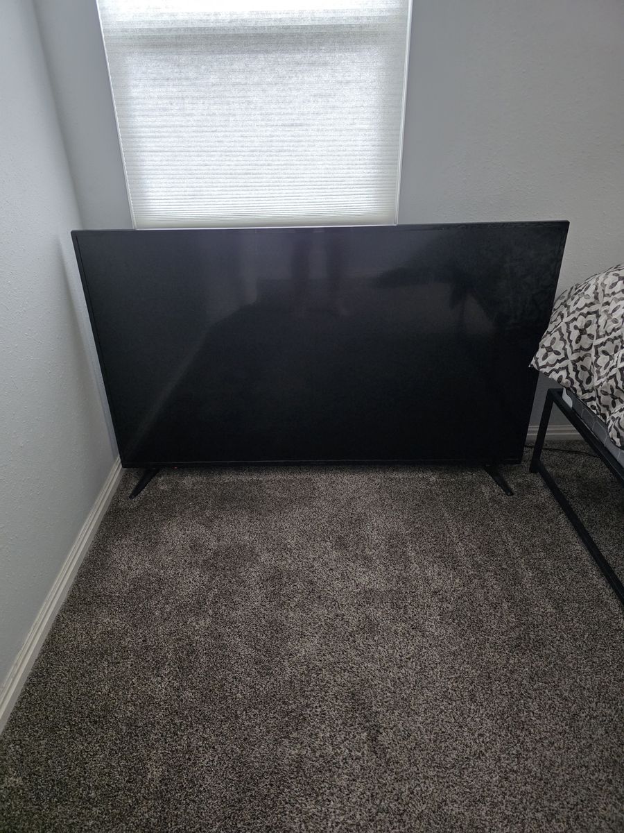 TV (65" Insignia FireTV)