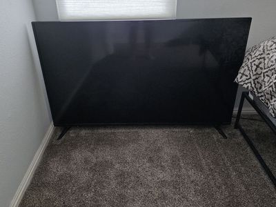 TV (65" Insignia FireTV)