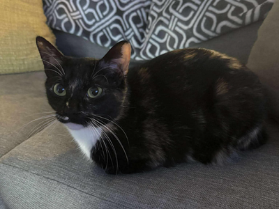 Hello my name is Scarlett