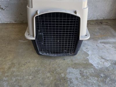 petmate dog kennel (medium)
