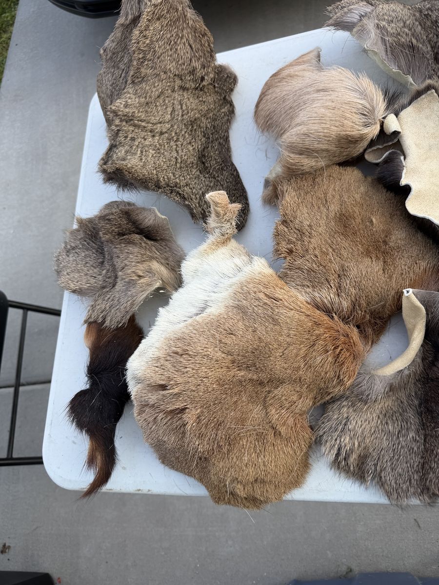 Animal Skins/Hides - Miscellaneous- For Trout Fishing