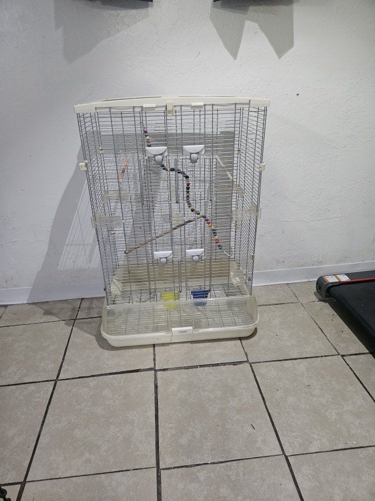 Large Vision Bird Cage