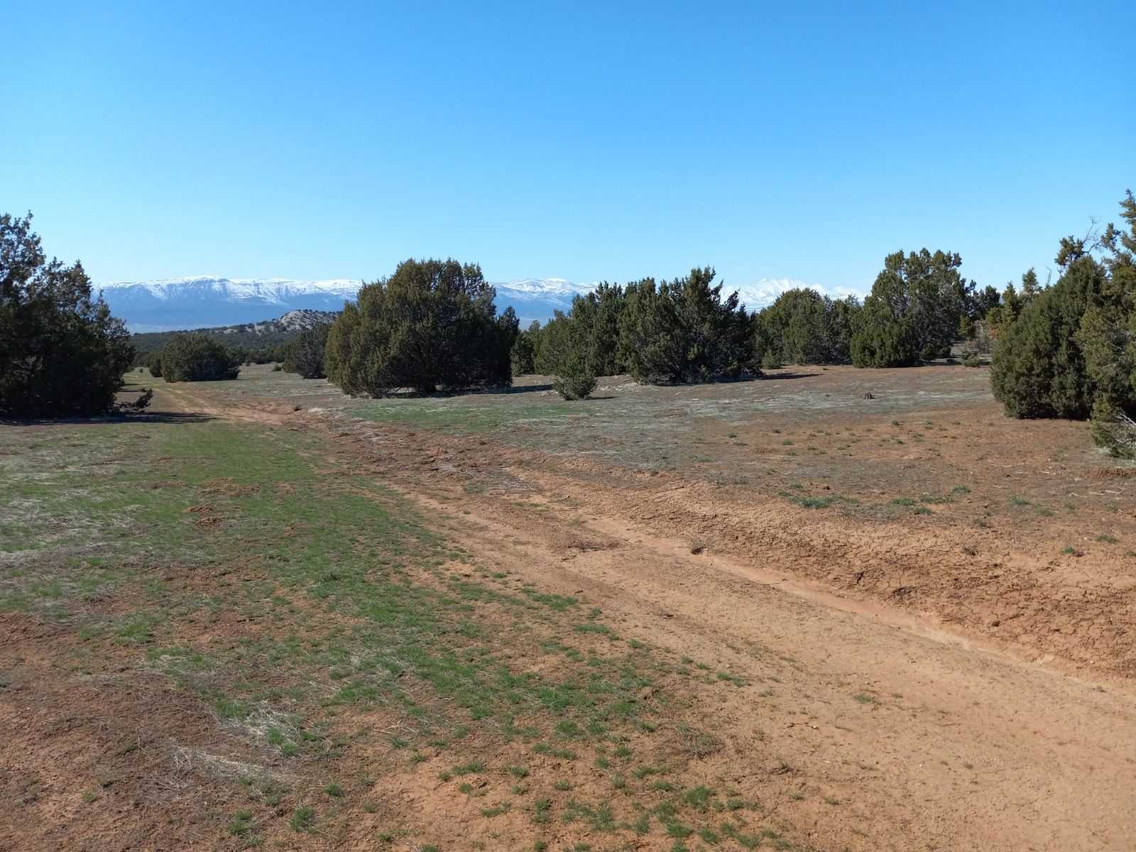 Main image 8