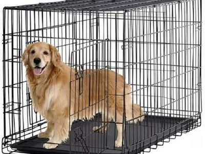 new 48 in Double-Door Dog Crate