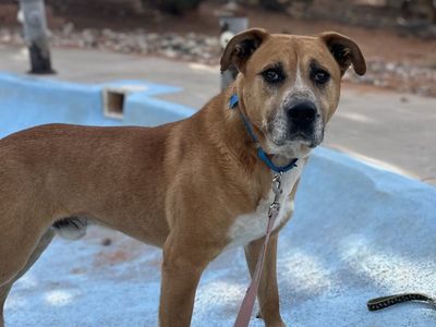 Hello my name is Stone