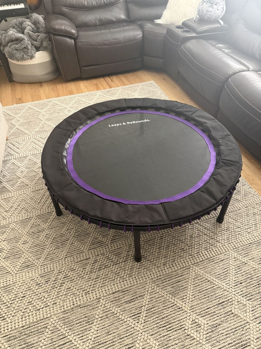 Leaps & Rebounds Fitness Rebounder Trampoline - Black/Purple