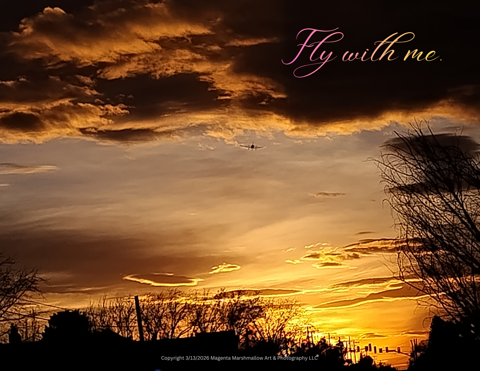 Fly with me. - Canvas Print