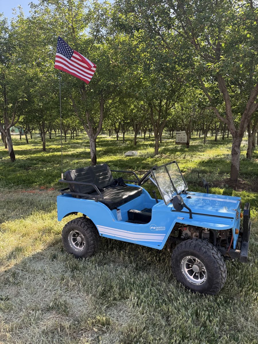 Mini jeep