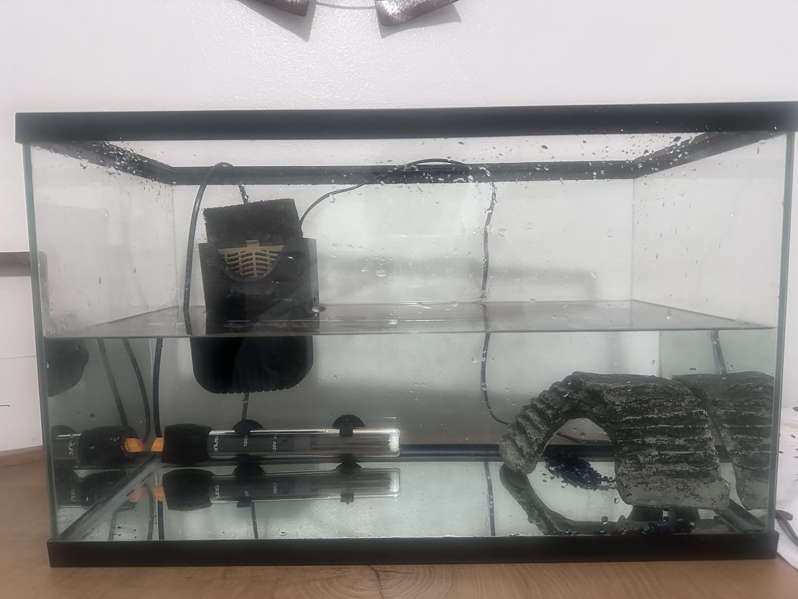 Main image 2