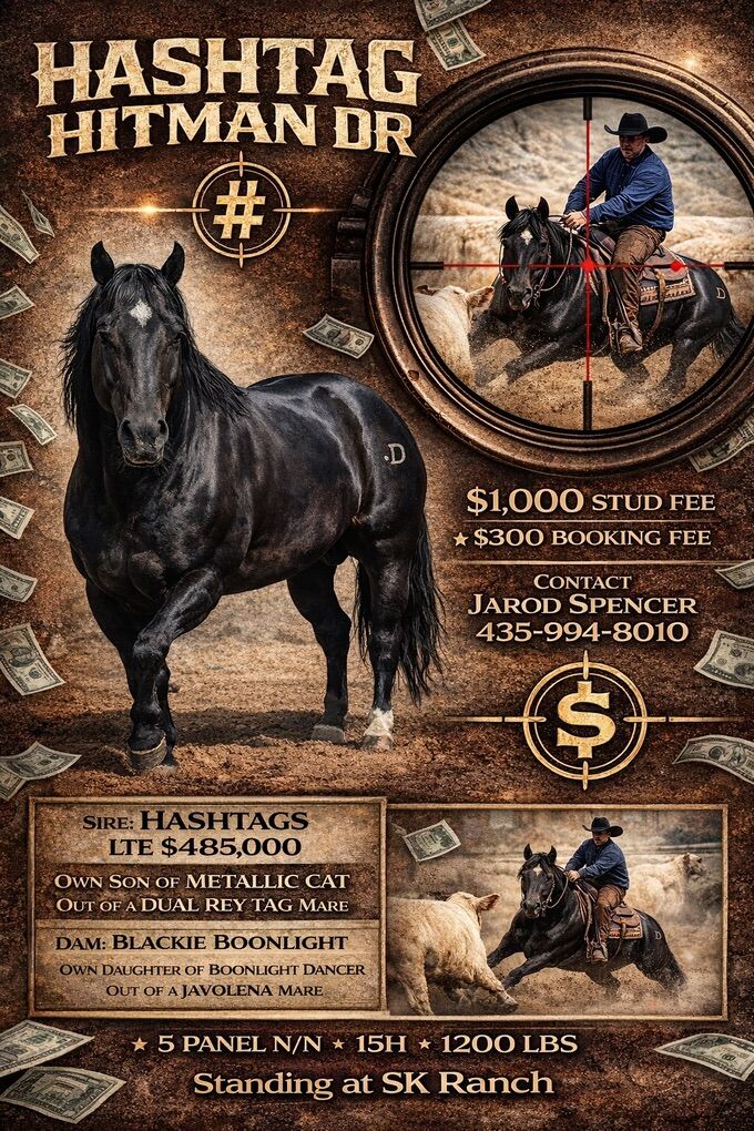 Hashtags Son - HASHTAG HITMAN DR