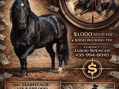 Hashtags Son - HASHTAG HITMAN DR