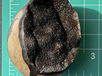 Septarian Nodule Geode Egg Shaped Polished Half, Calcite Crystal Mineral Specimen
