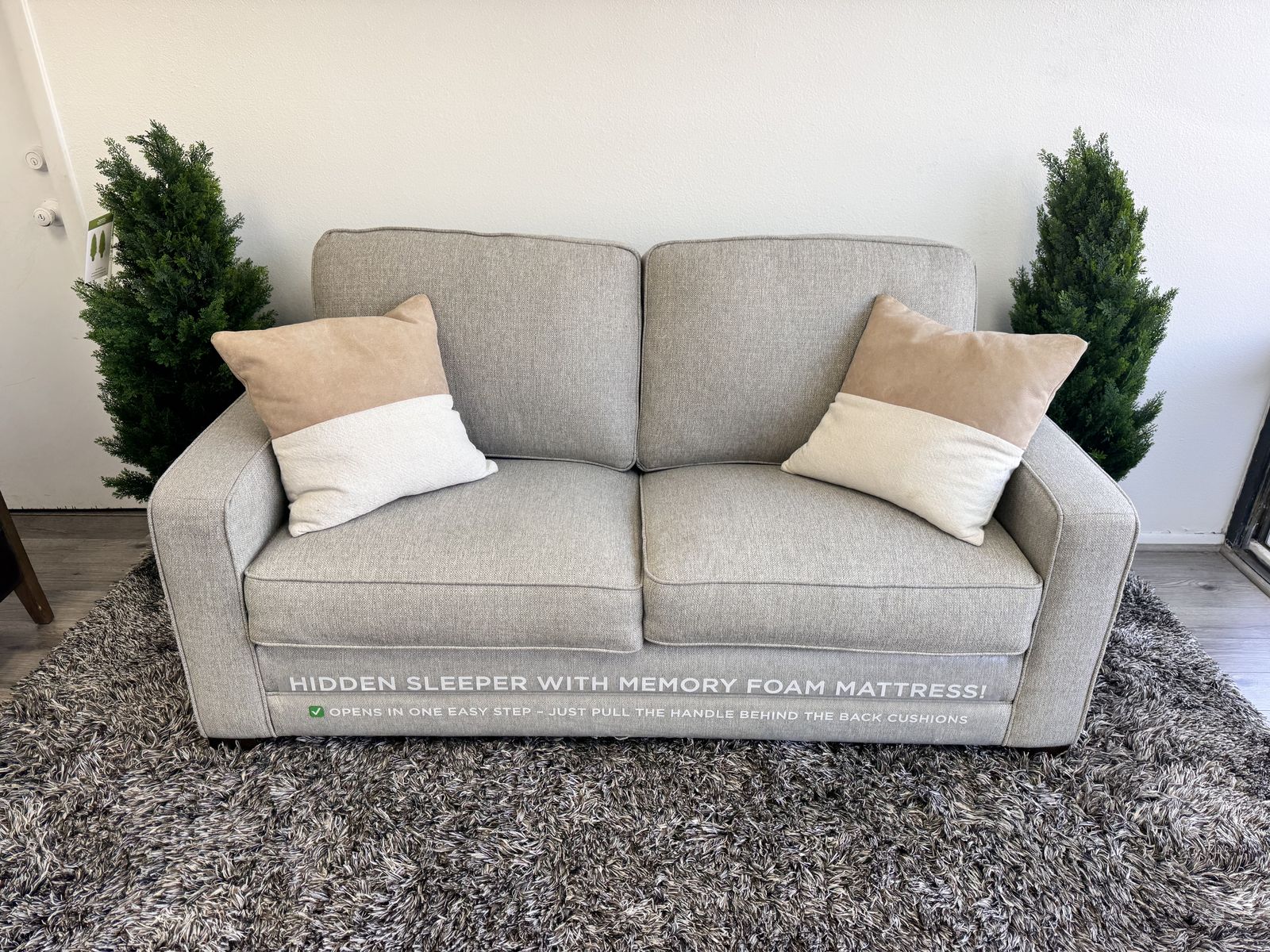 COSTCO ROSIE SLEEPER SOFA (LIKE-NEW) - CAN DELIVER