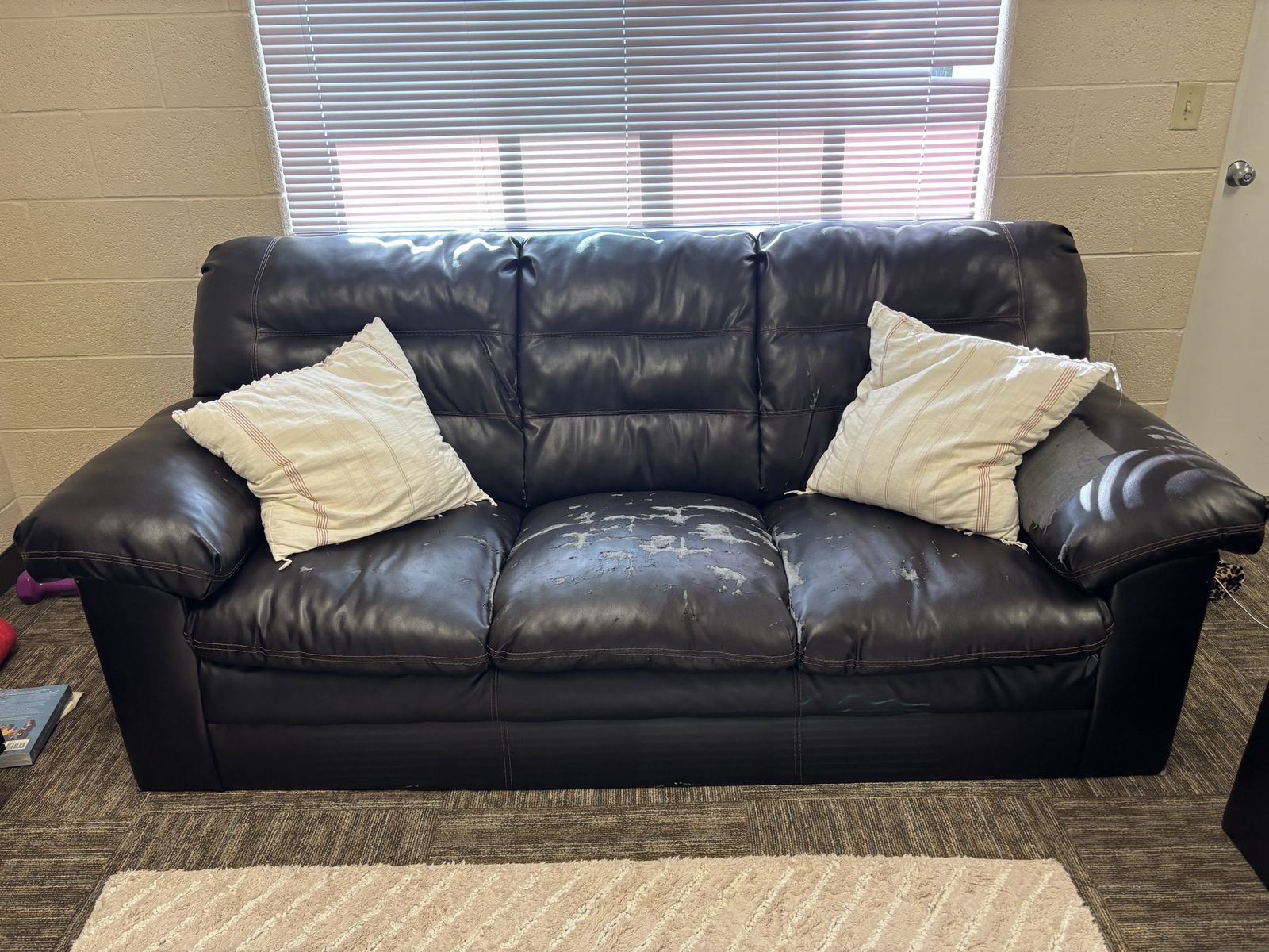 Free couches and pillows