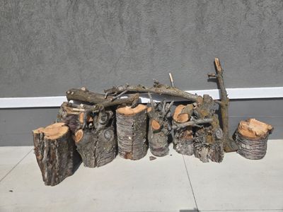 Free wood. Take all.
