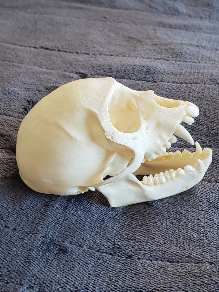 Main image 6