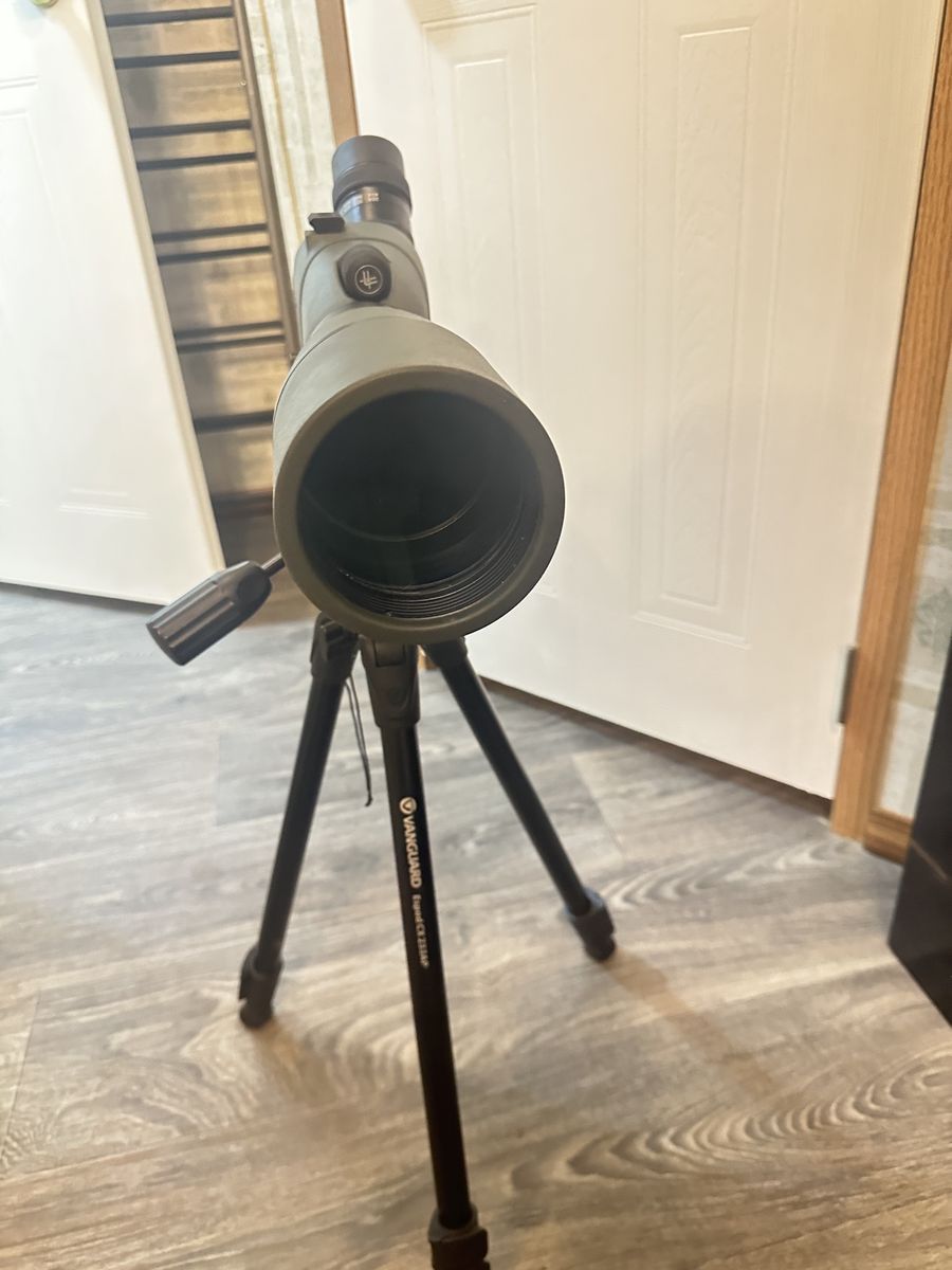 Main image 4