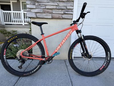 2020 Specialized Rockhopper (Large)