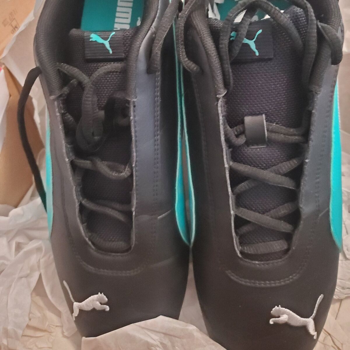 PUMA Men's Mercedes-AMG Petronas R-Cat Motorsport