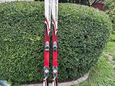 Skis with Bindings