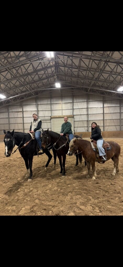 HORSE RIDING LESSONS!