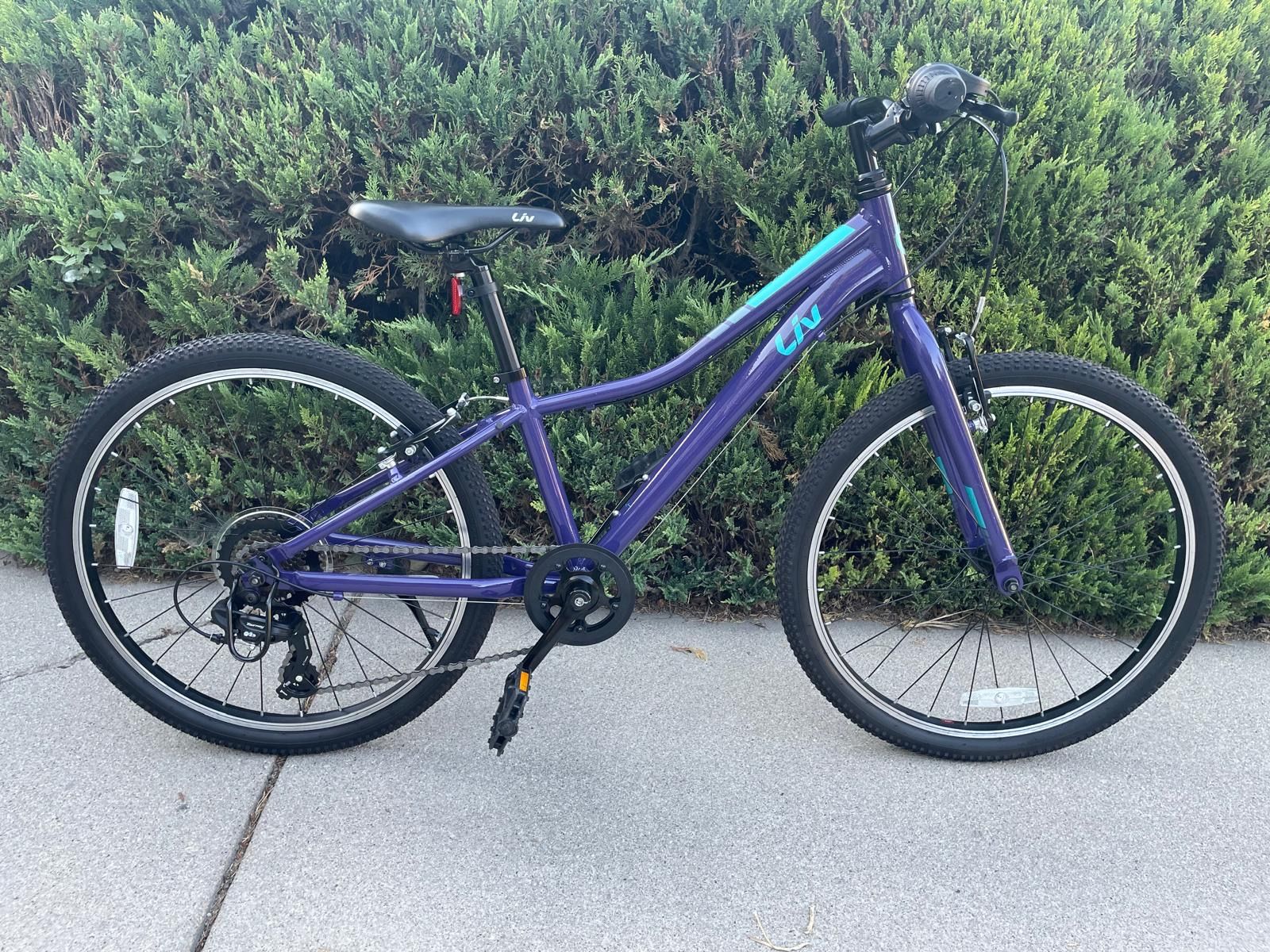 Giant Liv Enchant 24 Mountain Bike